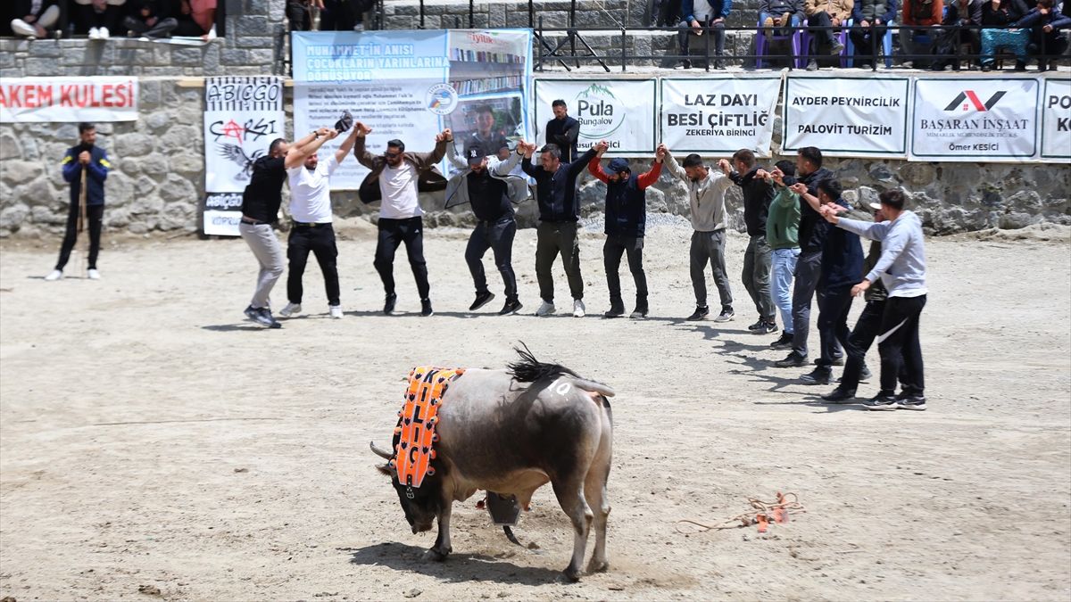 Rize’de Çamlıhemşin Ayder Kültür, Sanat ve Doğa Festivali