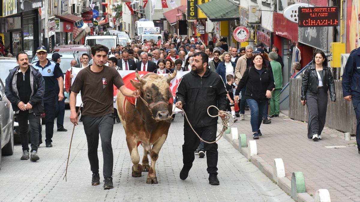 Artvin’de Kafkasör Festivali başladı