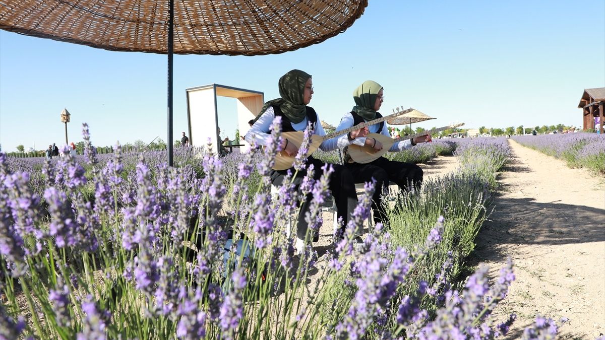 Konya’da Karatay Lavanta Festivali